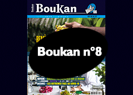 N°08 Boukan